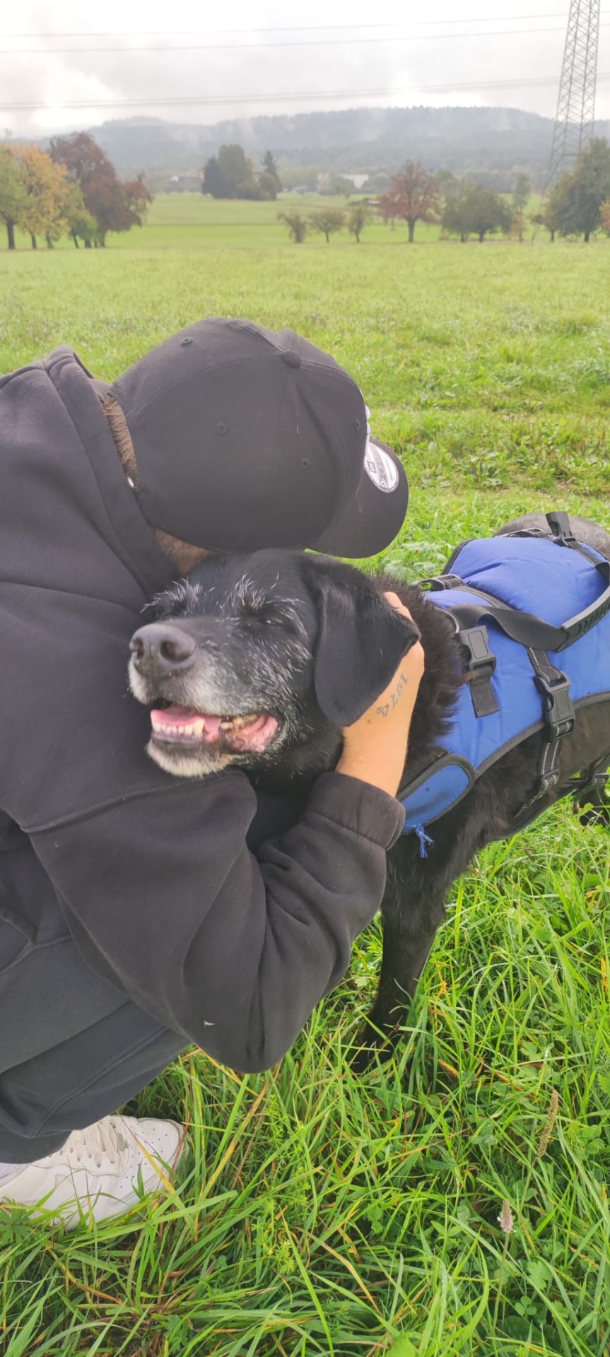 Geborgenheit im Alter 